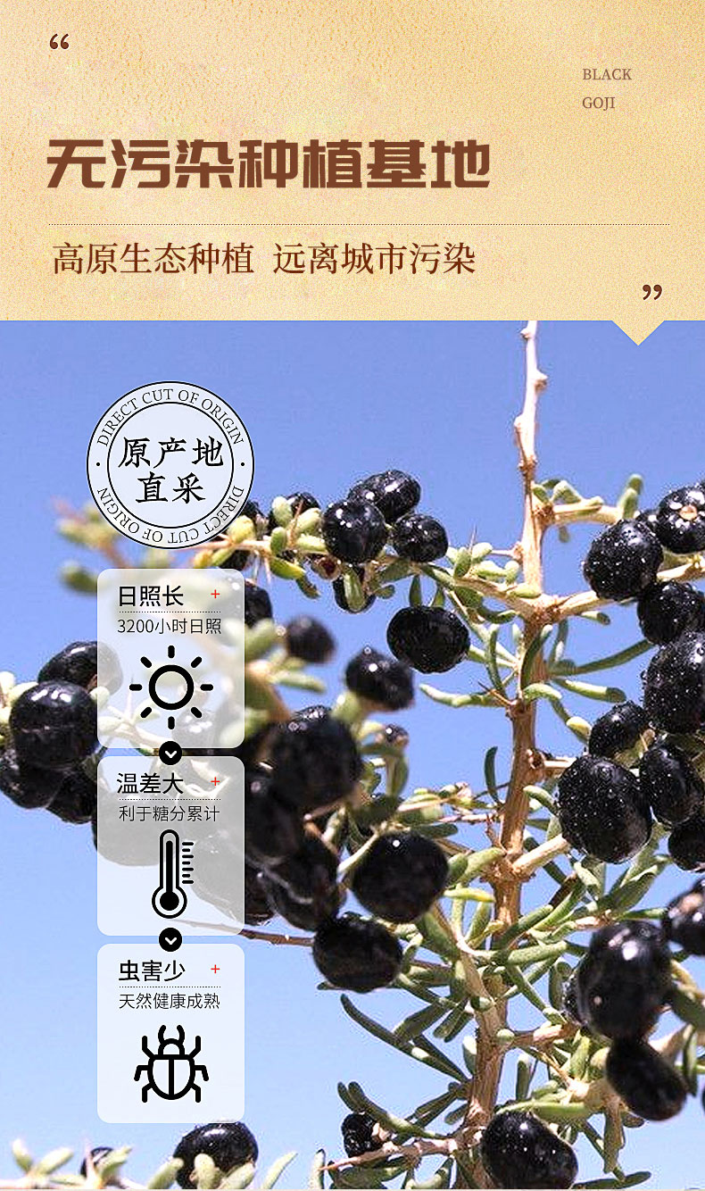 158g黑枸杞详情_03.jpg