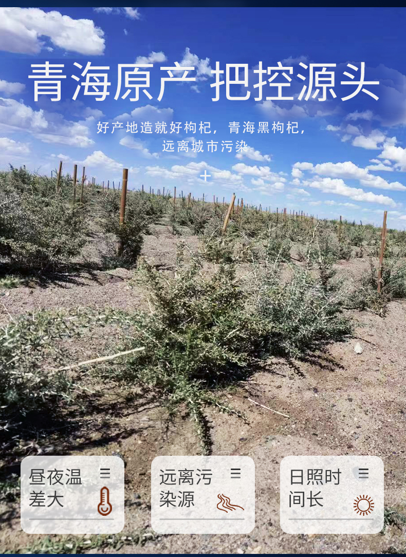 黑枸杞详情页_03.jpg