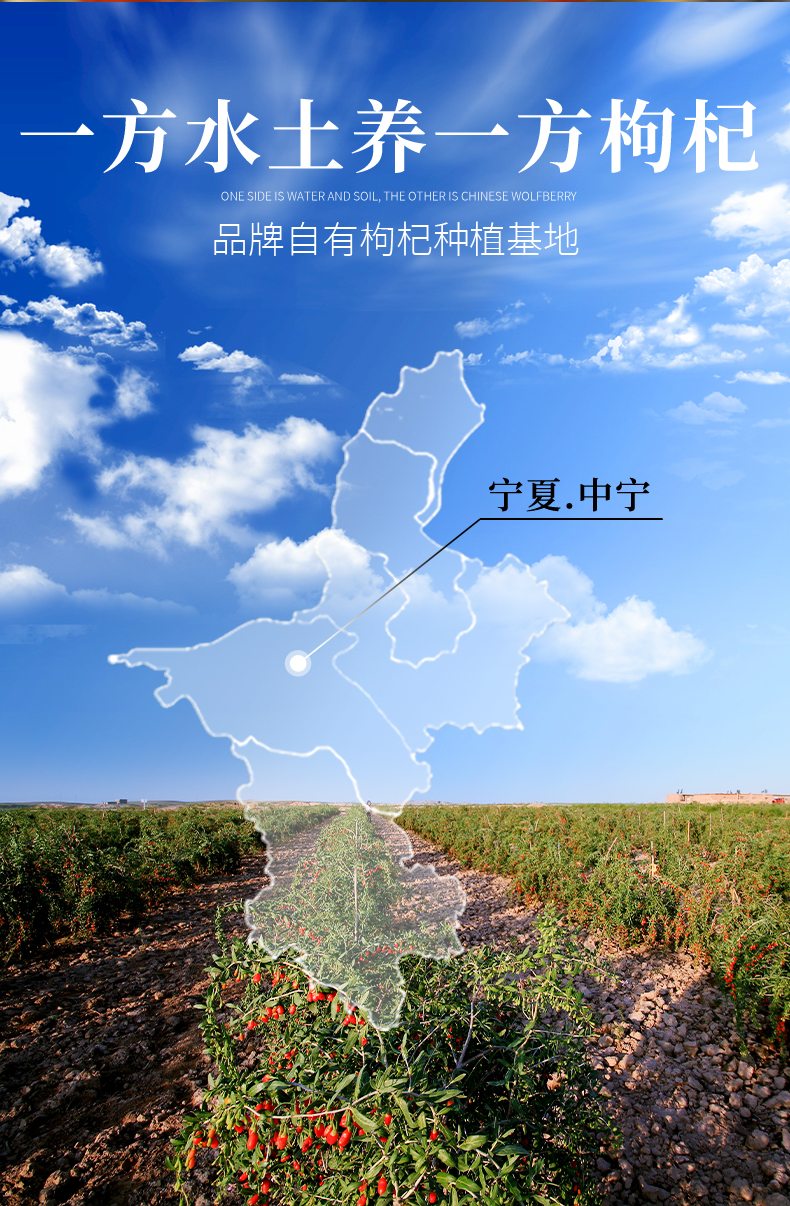 详情页_05.jpg