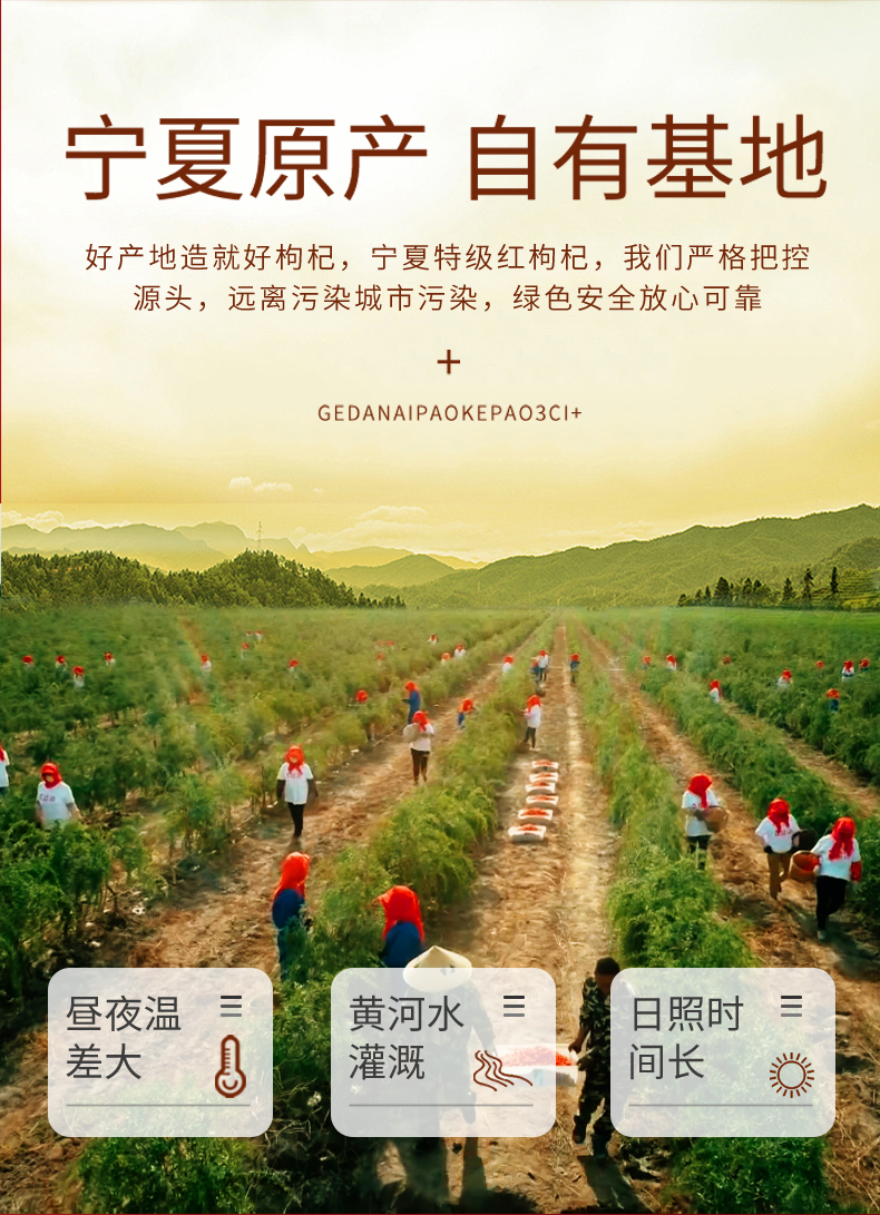 详情页_02.jpg