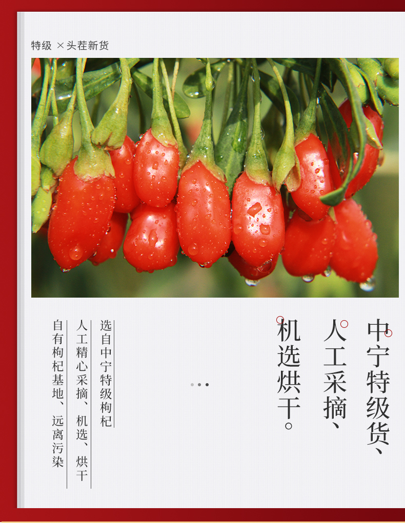 详情页_03.jpg