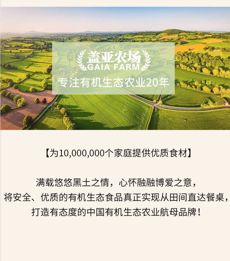黄芪党参豆浆粉-罐装详情_12.jpg